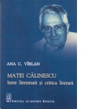 Matei Calinescu intre literatura si critica literara