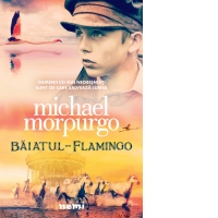 Baiatul flamingo