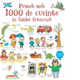 Primele mele 1000 de cuvinte in limba franceza