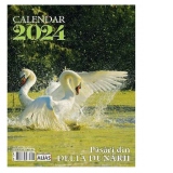 Calendar de perete - Pasari din Delta Dunarii (6+1 file) 2024