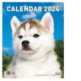 Calendar de perete - Caini (12+1 file) 2024