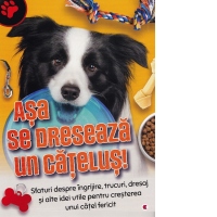 Asa se dreseaza un catelus!