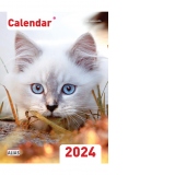 Calendar de perete 2024. Pisici (A4)