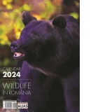 Calendar Wildlife in Romania 2024