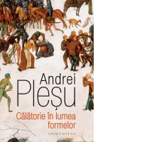 Calatorie in lumea formelor