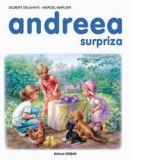 Andreea - surpriza - 20,5 x 25,5 cm, 24 pagini color