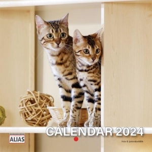 Minicalendar Pisici 2024