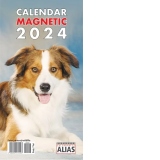 Calendar magnetic Caini 2024