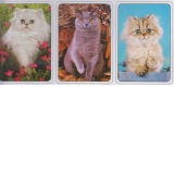 Calendar de buzunar 2024 Pisici (diverse modele)