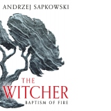 Baptism of Fire : Witcher 3