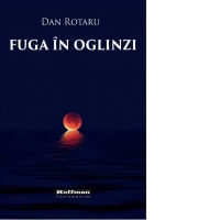 Fuga in oglinzi