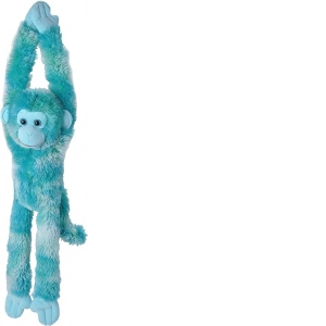 Maimuta care se agata Albastra