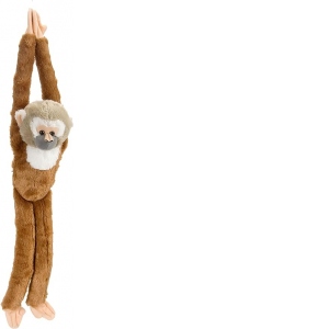 Maimuta care se agata Maimuta Veverita