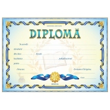 Diploma D1 2024