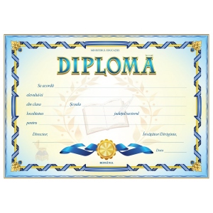 Diploma D1 2024