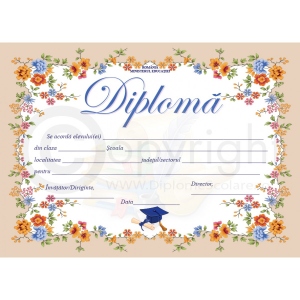Diploma D2 2024