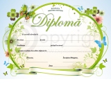 Diploma D4 2024