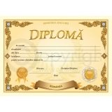 Diploma D5 2024