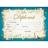 Diploma D6 2024