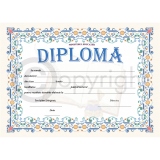 Diploma D7 2024