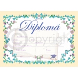 Diploma D8 2024