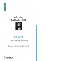Icoana. Experienta si realitate