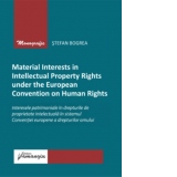 Material Interests in Intellectual Property Rights under the European Convention on Human Rights. Interesele patrimoniale in drepturile de proprietate intelectuala in sistemul Conventiei europene a drepturilor omului