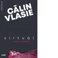 Virtual (Cartea 1 - Konectat)