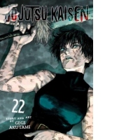 Jujutsu Kaisen, Vol. 22 : 22
