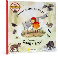 Observa animalele din padure impreuna cu Scufita Rosie