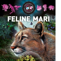 Feline mari 3D