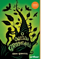 O oglinda grimminala