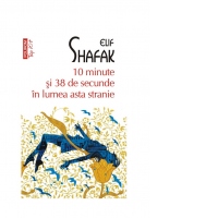 10 minute si 38 de secunde in lumea asta stranie (editie de buzunar)