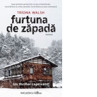 Furtuna de zapada