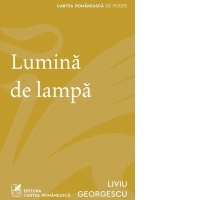 Lumina de lampa