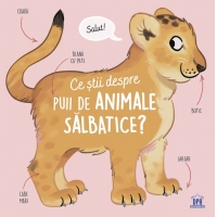 Ce stii despre puii de animale salbatice?