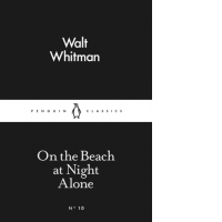 On the Beach at Night Alone