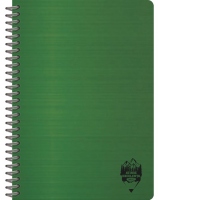 Caiet A4 80 file, spira hartie Ivory, romana, DACO, culoare verde