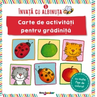 Invata cu Albinuta 1. Carte de activitati pentru gradinita