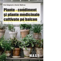 Plante-condiment si plante medicinale cultivate pe balcon