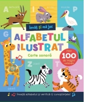 Invat si ma joc. Alfabetul Ilustrat