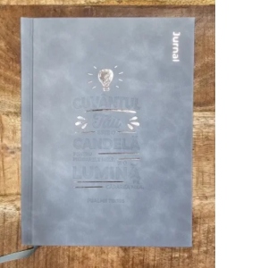 Jurnal - agenda acvamarin