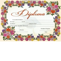 Diploma D8 2025