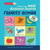 Primul meu mare dictionar ilustrat francez-roman. Cu peste 700 de cuvinte, peste 50 de teme, peste 50 de expresii