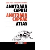 Anatomia Caprei - Atlas