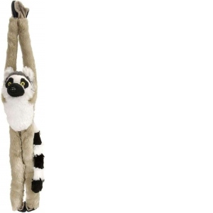 Maimuta care se agata Lemur