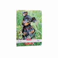 Caiet A5 36 File, Tip I, Hartie 80g/Mp FSC Mix, Motiv Cats&Dogs