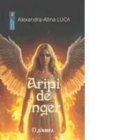 Aripi de inger