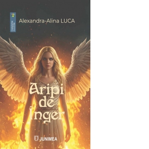 Aripi de inger