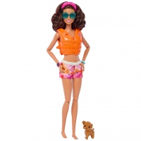 Barbie Papusa Barbie la Surf